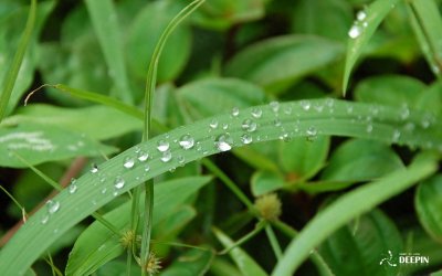 ​探秘青海：寻找最地道的十大特产