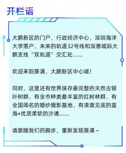 ​露营、赶海、探村……深圳这片海边湿地好治愈｜重新发现葵涌②