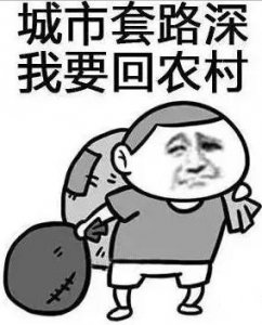 ​“城市套路深，我要回农村”，农村还能支撑我们回去吗？
