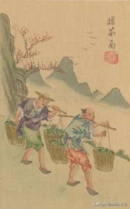 ​冠山连翘茶与清朝乾隆皇帝