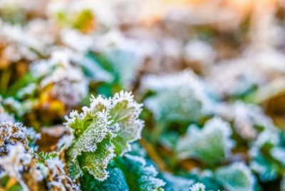 ​注意！这些地区大范围雨雪来袭