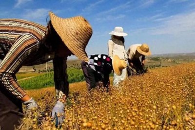 ​三农是什么。