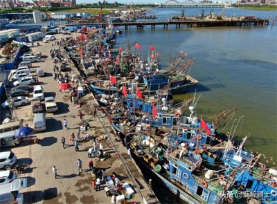 ​开海啦 热闹非凡的天津北塘渔港码头
