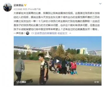 ​央视名嘴自媒体曝青少年比赛小球员围殴裁判，网友表示看不下去了……