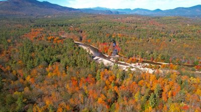 ​百家姓起源之金姓起源