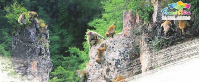 ​「山西最值得去的地方」蟒河