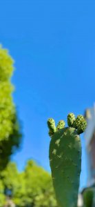 ​蓝天壁纸高清大图合集