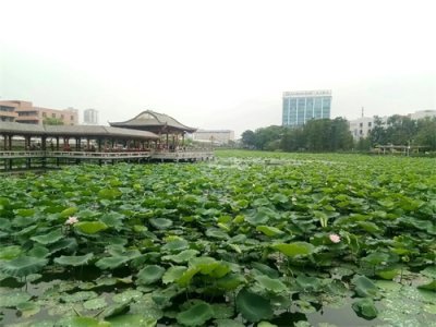 ​古诗词里“雨”的对仗，喜欢诗词的朋友，建议收藏