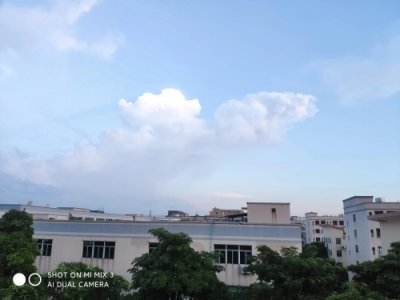 ​你的网速够快吗？选择多少带宽的宽带最合适？网友投票结果揭晓