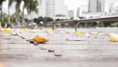 ​南京邮电大学再通报研究生意外死亡事件：与张宏梅解除聘用关系