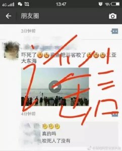 ​朋友圈疯传三亚海边有鲨鱼咬人？虚假信息！