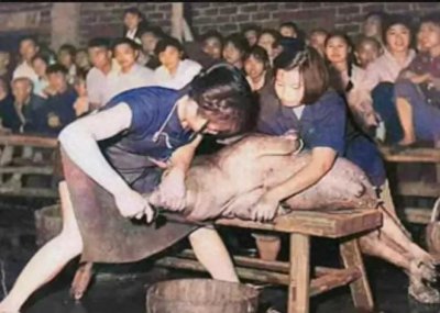 ​66年，妙龄女郎操刀杀猪，那个年代的女人真“生猛”
