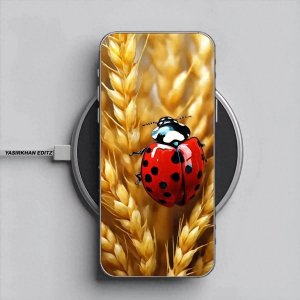 ​高清壁纸｜个性潮图第四十九期