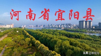 ​222.河南省宜阳县的概况