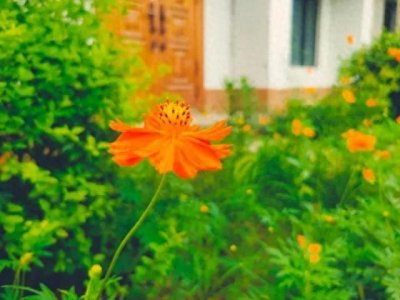 ​聪明的女人总会有这些特征