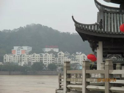 ​透过现象看本质