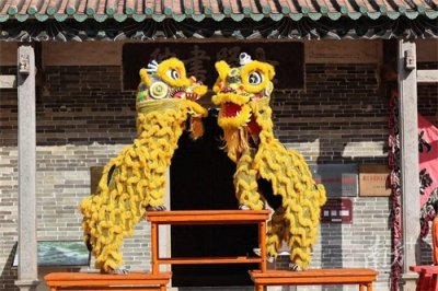 ​1月27日 ，阳西搂大头狗、鼍城行大运将登上2025《湾区花正开》