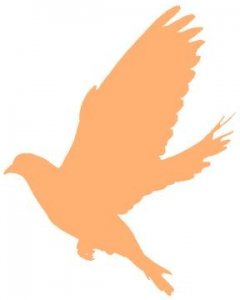 ​喜报 | 公管学院荣获清华大学校友工作“优秀集体”称号