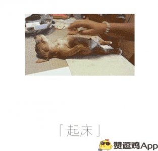 ​搞笑内涵图：你上班的状态，没有比这八张图更形象了