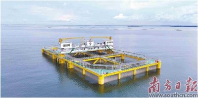 ​湛江现代化海洋牧场建设“扬帆加速”
