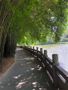 ​骂人不带脏字的话