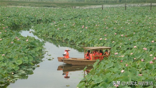大庆黑鱼湖一游