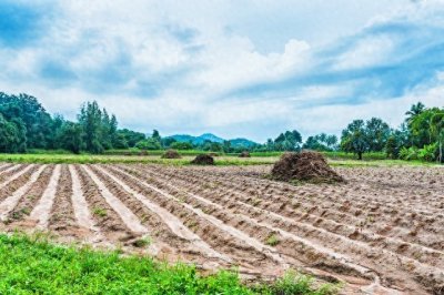​有多少亩地算地主？大地主和小地主如何划分？
