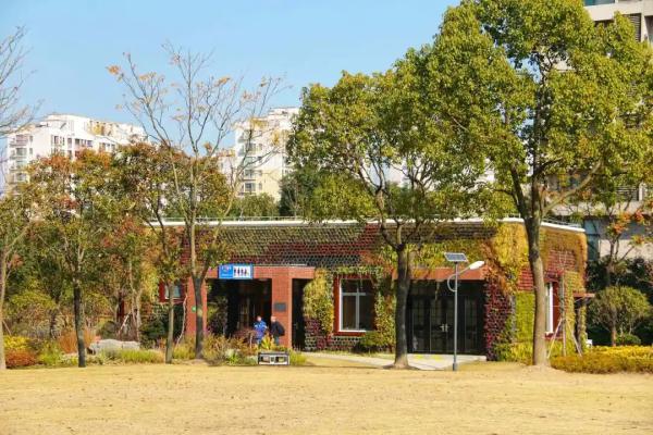 上海闵行区新建的公园（闵行区新增这3处24小时开放的绿地）(3)