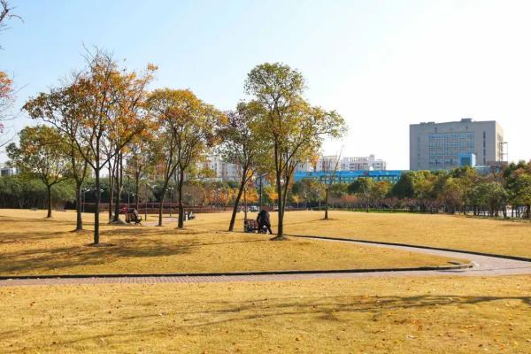 上海闵行区新建的公园（闵行区新增这3处24小时开放的绿地）(5)