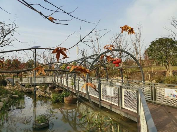 上海闵行区新建的公园（闵行区新增这3处24小时开放的绿地）(6)