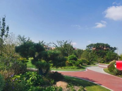 ​上海闵行区新建的公园（闵行区新增这3处24小时开放的绿地）