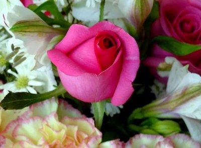 ​鲁迅《狂人日记》全文及赏析