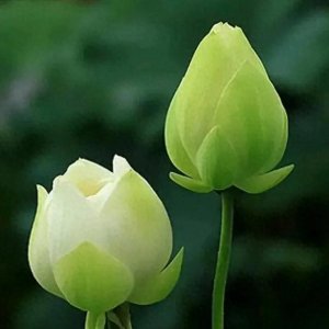 ​人和人的区别有哪些？