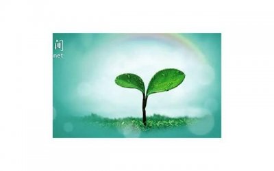 ​狮子座为什么死于金牛座「火星在狮子座四分金牛座的天王星」