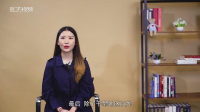 西马是什么食物