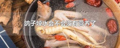 ​鸽子不焯水直接炖好吃吗? 鸽子不焯水可以吗