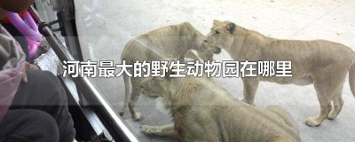 ​河南最好的野生动物园 河南最好的野生动物园在哪里