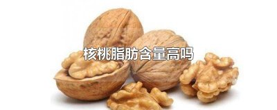​核桃脂肪高吗? 核桃脂肪高吗