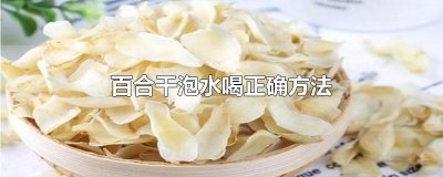 ​百合干泡水喝正确方法