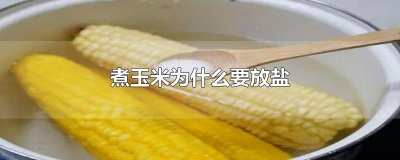 ​煮玉米为什么要放盐