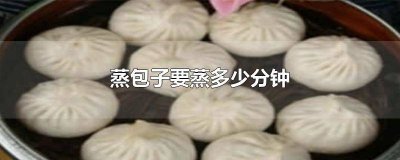 ​蒸包子用哪种蒸锅比较好 蒸包子用哪种蒸笼好