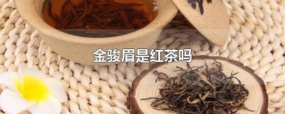 ​金骏眉是红茶吗