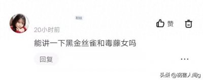 ​DC反派毒藤女不断变化的起源故事