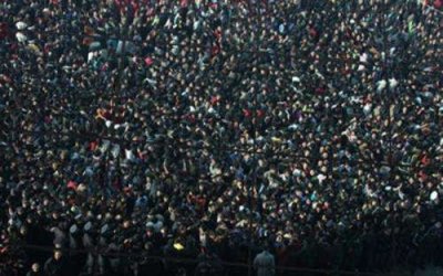 ​从身边的粉丝故事到“奶嘴理论”