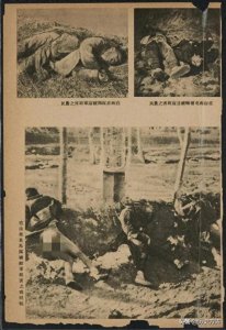 ​一篇很好看的抗日故事