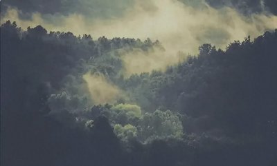 ​故事：四川黑竹沟究竟有多可怕？科考队冒死勘探，被眼前场景震撼