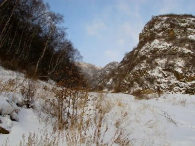 ​聊斋故事：鬼丫儿