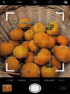 ​「推文合集」18本好看的先婚后爱文