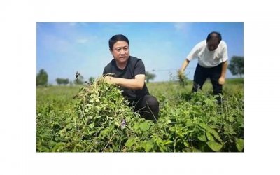 ​高情商女生撩男生的聊天记录,活该她们有对象