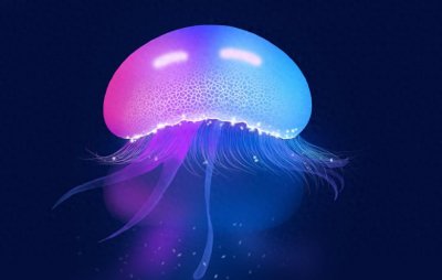 ​南极水母的故事：它们如何在极端环境中生存和繁衍